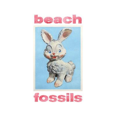비치 파슬스 Beach Fossils - Bunny (Powder Blue LP)