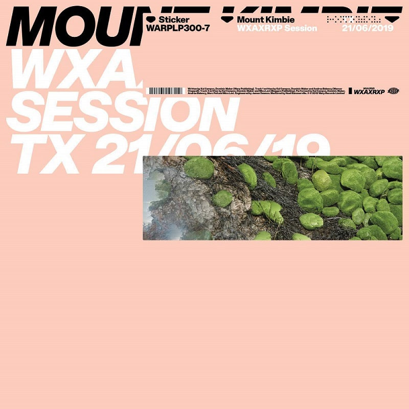 마운트 킴비 Mount Kimbie - WXAXRXP Session LP