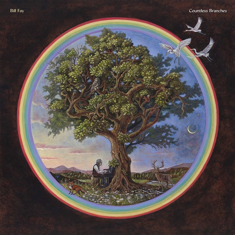 빌 페이 Bill Fay - Countless Branches (Deluxe Edition 2LP)